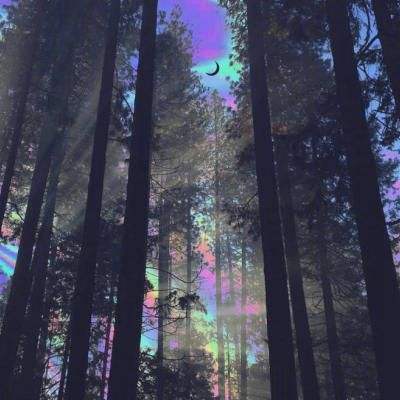 恋恋江湖手机版下载
